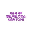 SK온누리약국 | 시흥시 시루 의외의 꿀 사용처 TOP 5: 병원, 학원, 주유소, 과연 될까? (ft. 실제 결제 후기)