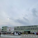천안 신당동 대게,킹크랩,하프셀 포장후기[천안시농수산물도매시장]