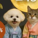 판타펫코리아 이미지