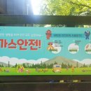 광명도덕산캠핑장 이미지