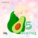 토마토앤김밥 이미지