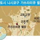 대지다실