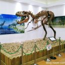 공룡게임장 이미지
