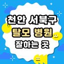 천안 서북구 탈모 전문 병원 두피 탈모관리 잘하는 곳 추천 List