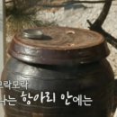 양지마을 포레스트 이미지