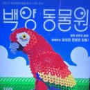 백양문화예술회관 | 부산 진구 백양문화예술회관 [케플블럭 백양 동물원 전시 관람]
