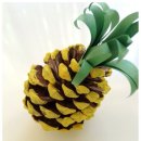 풀꽃유치원 이미지