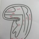 서울장신대학교 자연치유선교대학원 이미지