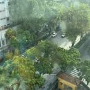 노틀담세탁 이미지