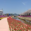 순창읍사무소 이미지