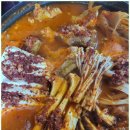 경이로운 김치