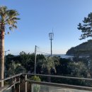 섶섬 아우룸 이미지