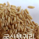 산이로지스-1