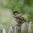 석*수 - 미추홀구 석정로282번길 39-15 | 석*수