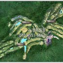 신안컨트리클럽 이미지