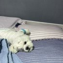 주청민박 이미지