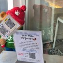 방배천로4길 8 | 사당 디저트카페 아뜰리에 딸기수플레 두쫀쿠 | 김미스모어 크림브륄레 쫀득쿠키 후기