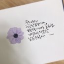 꽃그리고캘리그라피