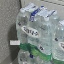 그린미트 티스토리