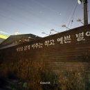 (주)펫바라기 네이버블로그