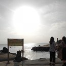 금능초등학교 이미지