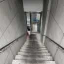 크로스핏 임 | [구디/크로스핏] 우리크로스핏 드랍인 후기 (쓰읍)