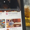 요를레이 스튜디오 | 안녕 해야 할 마음과 안전하게 안녕하기