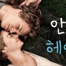트리스약국 이미지