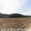 화순군 백아면 길성리 임야10661제곱,매1600만원,전남토지매매,화순토지매매 이미지