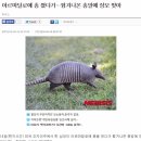 프프프다