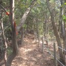 경기둘레길 안산51코스 이미지