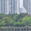 상동호수공원 이미지