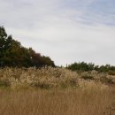 자라목장 이미지