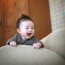 베리스튜디오 이미지