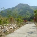 냉산공원 이미지