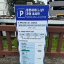 해바라기-청춘(1) | 제주 동문시장 기념품 끝판왕! 청춘이오란다 한라봉 오란다 직접 먹어본 후기