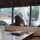 앞산 맛둘레길 바닥 | [담백한]1인샤브샤브/내돈내산/앞산맛집/건강한맛집/앞산맛둘레길