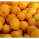 창민 농장 이미지