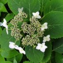 (주)응원 이미지