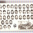 우춘생 Daum카페