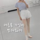 비비프레시 | 여름용 가성비 발레웨어 쇼핑 내돈내산 후기 + 다이소 발레템?! + 슬로우 노브, stl, 클라르미어, 비비...