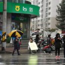 내서농협 앞 네이버블로그