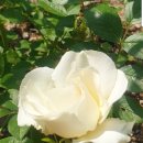 탱크 당구장 이미지