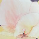 자연뷰티갤러리