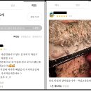 샵 초도 이미지