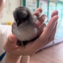 금일초등학교 | [한예종섬아트프로젝트]#5.금일도