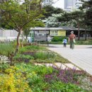 올림픽로37길 이미지