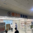 베리굿동물병원 | 노원 중계동 베리굿동물병원 고양이 스케일링 치주염치료 내돈내산 고양이전문동물병원