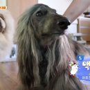 환웅농장 이미지