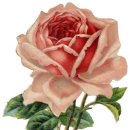 솜씨공방 이미지